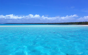 test (1689450610743)